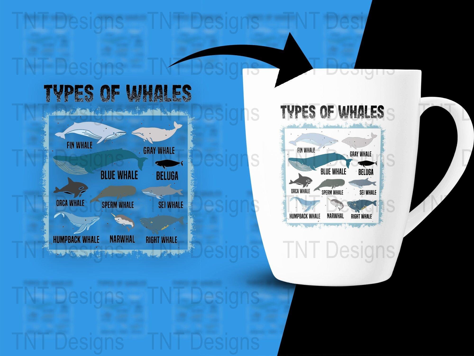 Types of Whales Digital Png File, Instant Download, Ocean Mammals Guide ...