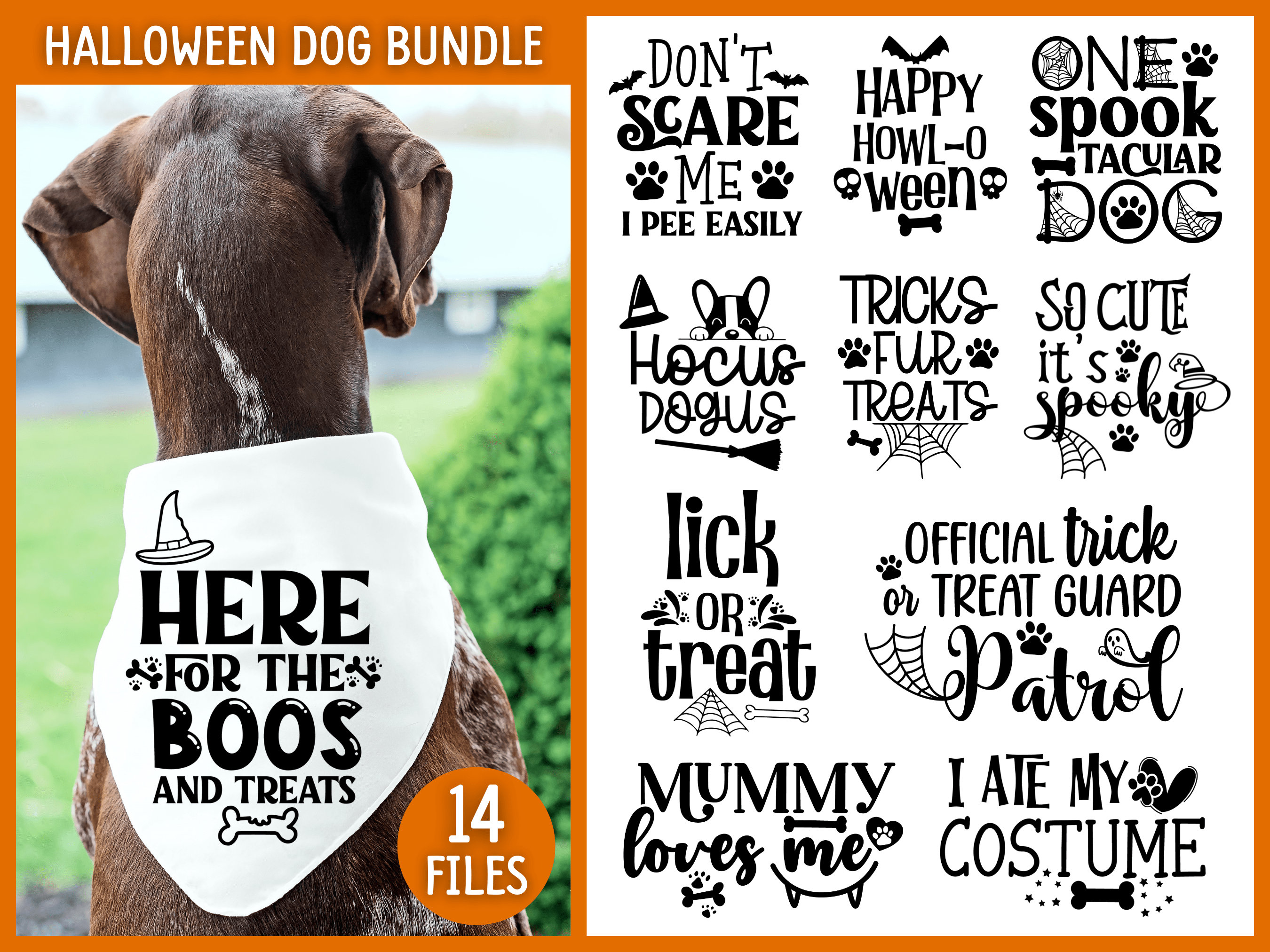 Cute Dogs With Sayings