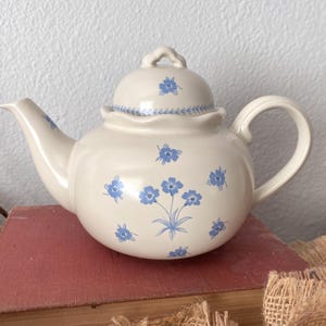 Blue Floral Teapot