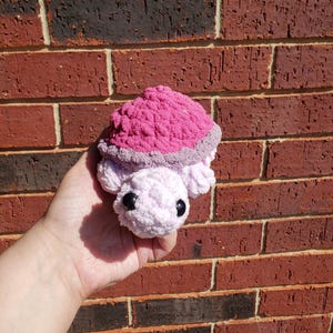 Può includere: Una tartaruga all'uncinetto fatta a mano nei toni del rosa e della lavanda. La tartaruga ha un guscio strutturato, un corpo lilla chiaro e occhi di sicurezza neri. Questo giocattolo morbido è un oggetto carino e coccoloso.