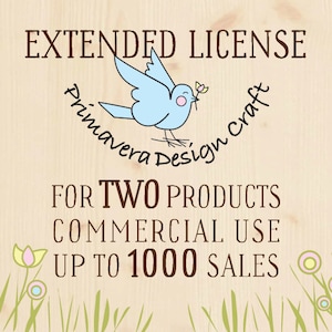 Extended License for Two product Commercial Use up to 1000 sales
