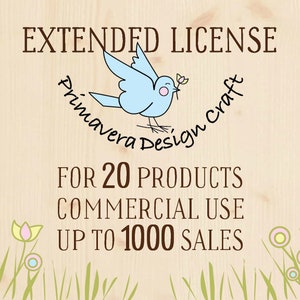 Extended License for Twenty product Commercial Use up to 1000 sales