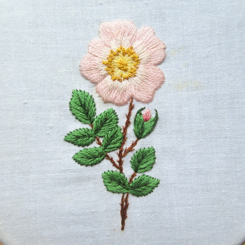 Wild Rose Hand Embroidery PDF Pattern Rose Flower image 2