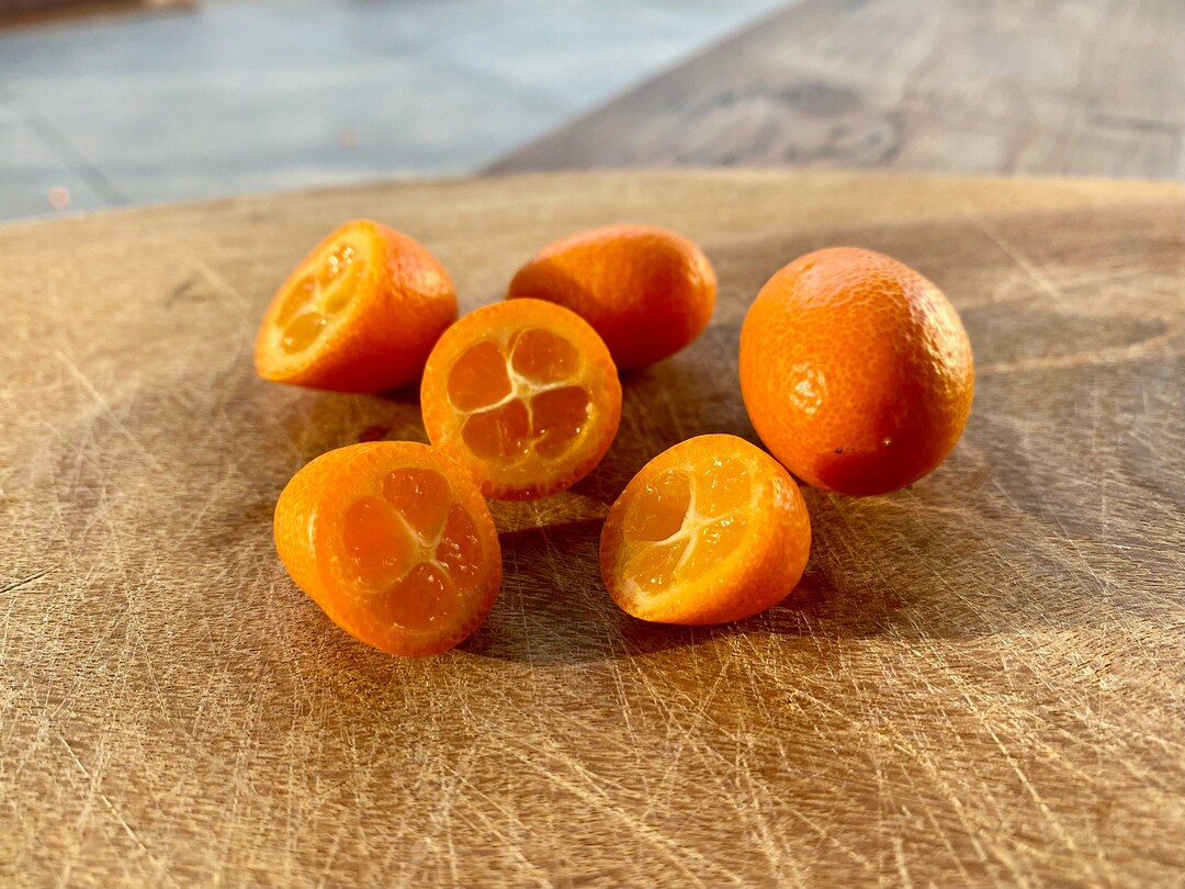 PRESALE Ships by Jan 15 Kumquats 3 Lbs No Pesticides Sweet Etsy