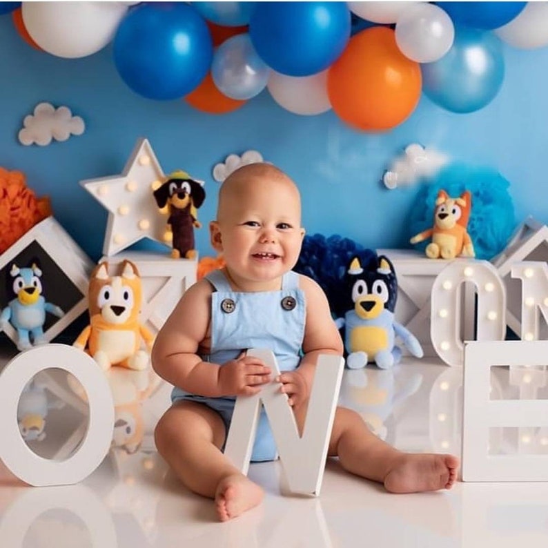 Bluey First Birthday Outfit for A Boy Bluey Cake Smash Outfit Etsy