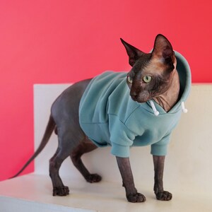 Mint Green hoodie for your cat or dog