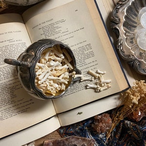 May include: A silver creamer filled with small white bones sits on an open book with text about springs in the valley. The book is surrounded by small white seashells, dried flowers, and red crystals.