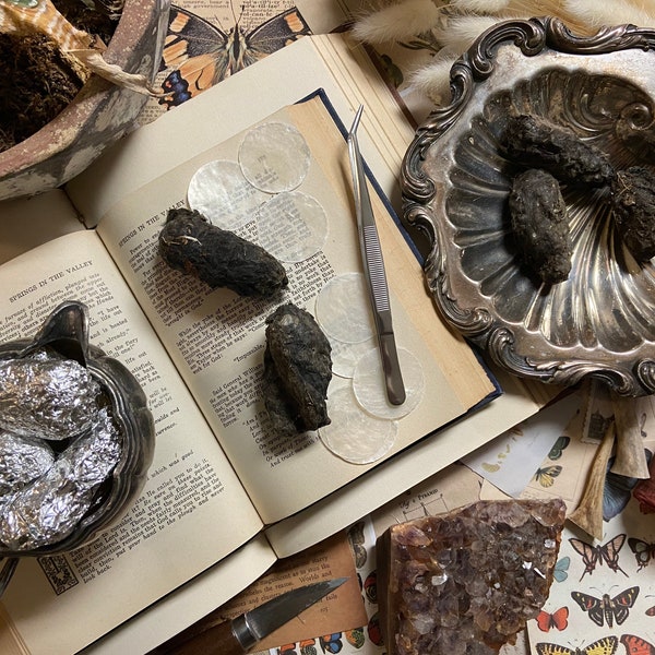 Jumbo Owl Pellets | 2" and Longer | Real Animal Bones | Great Crafts or Classrooms | Dried Owl Pellet Oddity & Curiosity | Small Bones