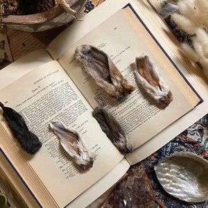 May include: Five rabbit ears, some with fur and some without, are arranged on an open book with text. The book is open to a page with the text "June 9" and "They shall meet me with joy and singing." The book is on a patterned surface with a seashell and crystals.