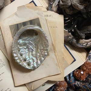May include: A white iridescent abalone shell with a pearlescent sheen. The shell is resting on a stack of old books with text visible on the pages. The text reads "DMAY; CER."