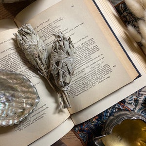 White Sage Torch Smudge Sticks | Sage Bundles | Smudge Stick | Smudge Kits | Flower Sage Set | Smoke Cleanser | Floral Smoke Cleansing Wand