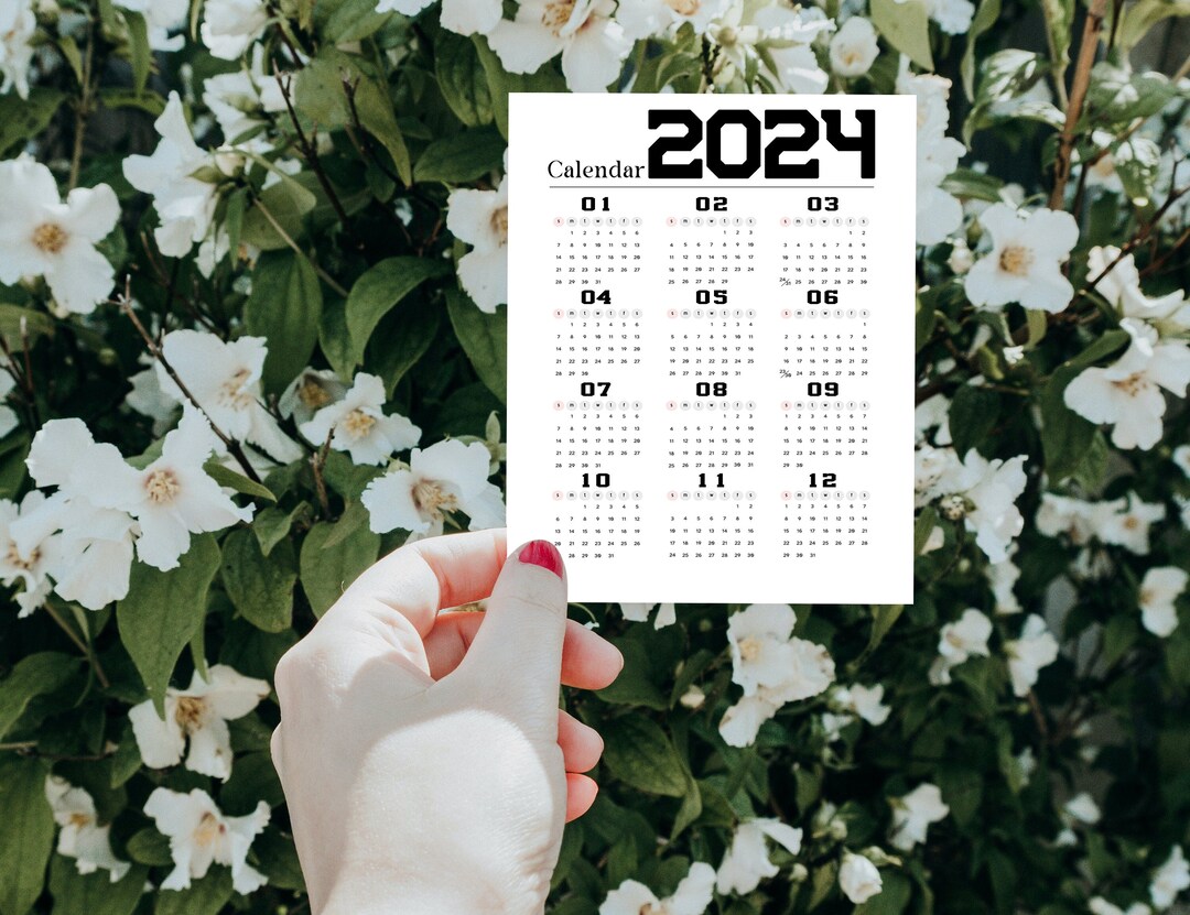 2024 Calendar Calendar for 2024, Custom Calendar