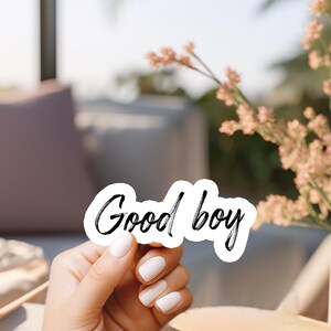 Book Stickers Good Boy Kiss-Cut Vinyl Decals for Readers, Dark Romance & Morally Gray Villain, Steamy Romance