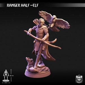 Ranger Half-Elf | Tabletop RPG | Miniatures | Dungeon Dog