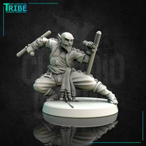 Monk | Human, Elf, Firbolg or Tiefling | Tabletop RPG | Miniatures | 32mm | Claudio Casini Art