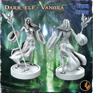 Dark Elf Vanora | Tabletop RPG | 32mm or 72mm | RKS3D