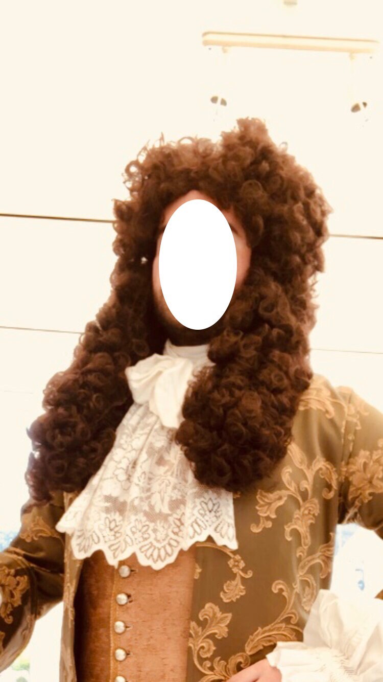 Louis XIV Wig Noble Judge Very Good Quality and Dimensions - Etsy