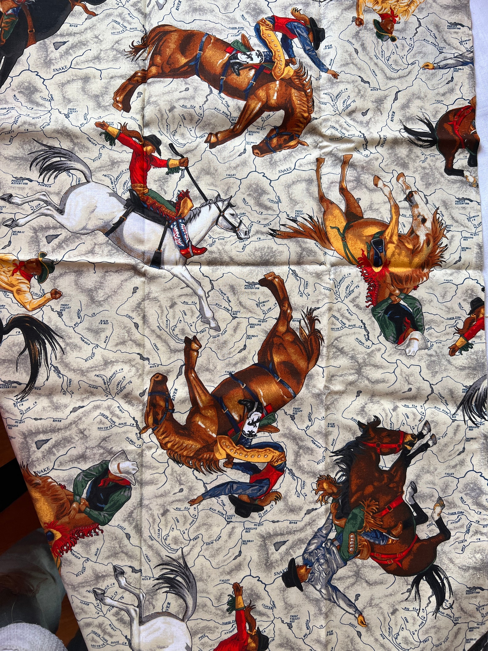 Cowboy ,patty Reed Designs ,2014 ,fabric Traditions . 1/2 YR - Etsy