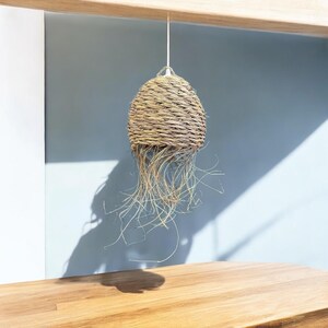 May include: A natural woven pendant light with a light brown shade and long, wispy strands hanging down. The light is hanging from a white cord against a light blue wall.