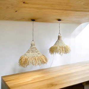 EVA pendant light with palm leaf fringes, openwork pendant light, wicker light, lampshade