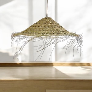 May include: A large, round, woven straw lampshade with a fringe of long, thin strands hanging down. The lampshade is hanging from a ceiling.