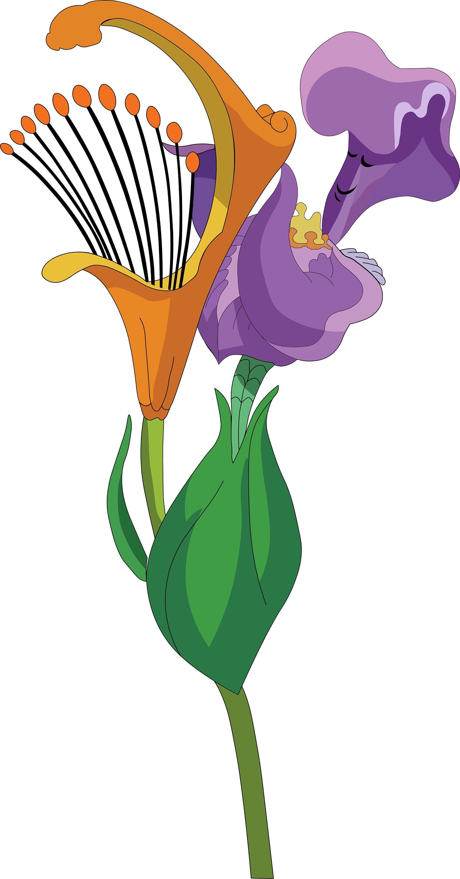 Alice in Wonderland Svg, Alice in Wonderland Png, Princess Cricut Svg ...