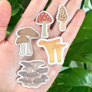 Mini autocollants champignons, lot d'autocollants champignons imperméables, mini autocollants esthétiques pour coques de téléphone, petite bouteille d'eau autocollants champignons terreux