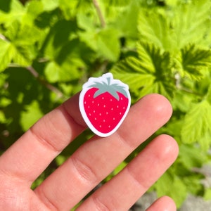 Puede incluir: Una pegatina de fresa roja y verde sobre un fondo blanco. La pegatina est&aacute; en el dedo de una persona.
