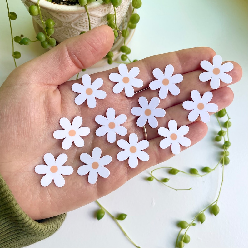 May include: A hand holding a collection of white daisy stickers with a light orange center. The stickers are arranged in a semi-circle pattern.