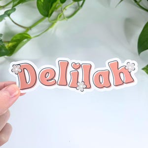 Stickers noms personnalisés en vinyle, Stickers rétro, Stickers personnalisés, Stickers bouteilles d'eau mignons, Stickers girly, Stickers noms personnalisés 4 pouces