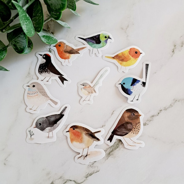 Mini Bird Sticker Pack| Pack of 6| Nature Stickers| Notebook| Phone Case