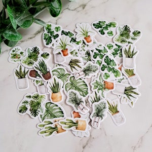 Mini Plant Stickers| Pack of 6| Planner Stickers| Houseplant Stickers| Laptop
