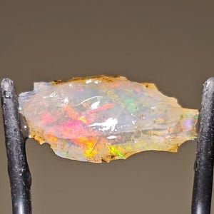 May include: A translucent opal gemstone, held by black metal tweezers. The opal displays a play of color with flashes of red, orange, and green. The stone has a rough, irregular shape and a slightly golden hue.
