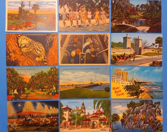 Lot of 17 RANDOM Vintage FLORIDA Postcards ~ UNUSED for Note Cards Etc. 1940s to 1970s.
