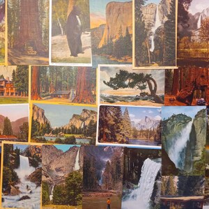 May include: A collection of vintage postcards featuring scenic views of Yosemite National Park. The postcards depict waterfalls, mountains, giant sequoia trees, and a bear. The color palette includes greens, browns, and blues, with a vintage aesthetic.