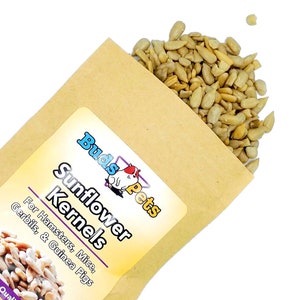 Sunflower Kernels For Hamsters, Mice, and Gerbils - 1 Ounce Feed