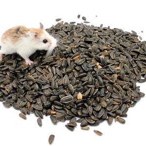 Black Oil Sunflower Seeds For Hamsters, Mice, and Gerbils - 8 Ounce Feed