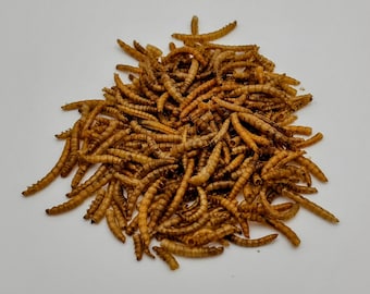 May include: A pile of dried mealworms, a popular food source for reptiles and other pets.