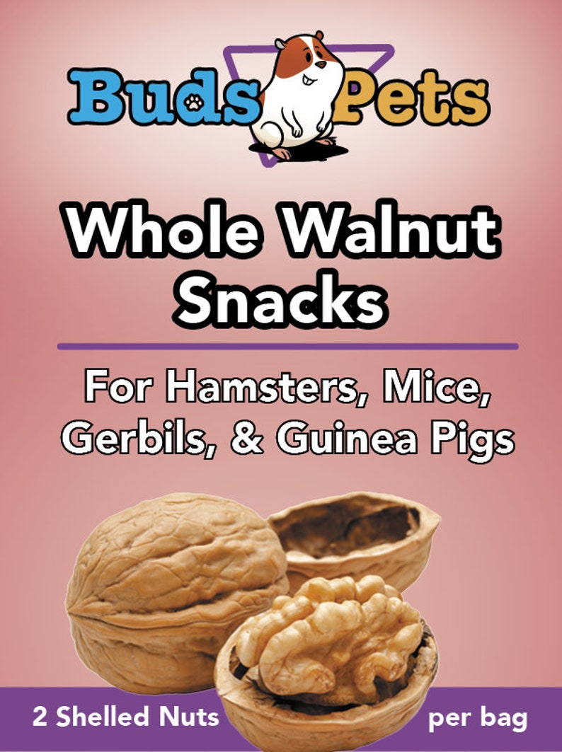 Whole Inshell Walnuts for Hamsters, Mice, and Gerbils 2 Whole Nuts Etsy