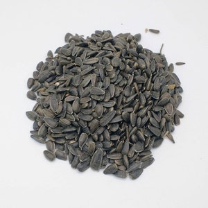 Black Oil Sunflower Seeds For Hamsters, Mice, and Gerbils - 2 Ounce Feed