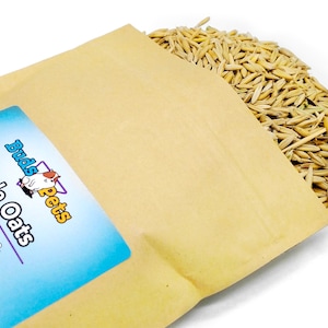 Whole Oats Grains For Hamsters, Mice, Gerbils, and Guinea Pigs - Large Bag - 12 Ounce Feed