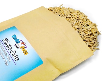 Avena integrale per criceti, topi, gerbilli e porcellini d'India - Sacchetto grande - Mangime da 12 once