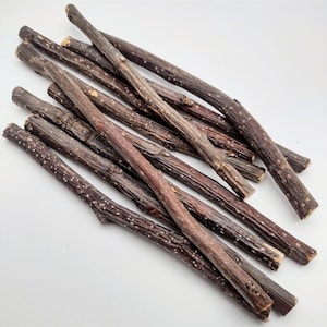 Bâtonnets de pomme à mâcher en bois rameaux de pomme 50 g