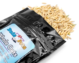 May include: A black resealable bag with a blue label that says "Buds Pets Whole Oats" and lists "Hamsters, Mice, Guinea Pigs". The bag is open and spilling out whole oats onto a white surface.