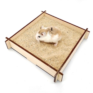 Può includere: Un piccolo criceto marrone e bianco in una sabbiera di legno riempita di sabbia. La sabbiera è quadrata con una cornice di legno chiaro. Il criceto è al centro della sabbiera.