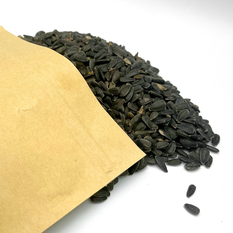 Black Oil Sunflower Seeds for Hamsters, Mice, and Gerbils 8 Ounce Feed