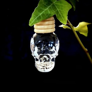 May include: A clear glass skull bottle with a wooden cork stopper. The bottle is hanging from a green ivy plant against a black background.