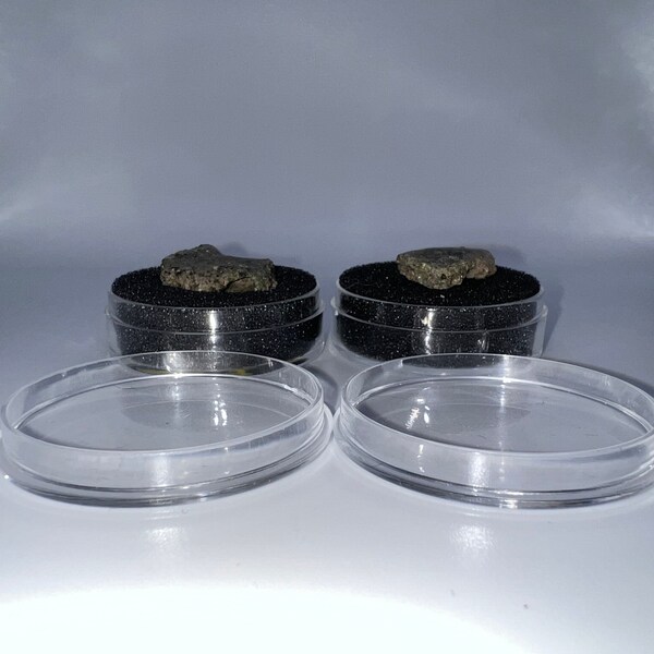 Display Case With Foam Etsy