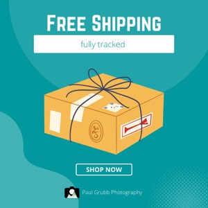 May include: A brown cardboard box tied with a black ribbon, with the text "FREE SHIPPING" and "fully tracked" above it. The box is on a teal background with a white button that says "SHOP NOW".