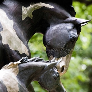 Mare and Foal Statue Custom Canvas or Print